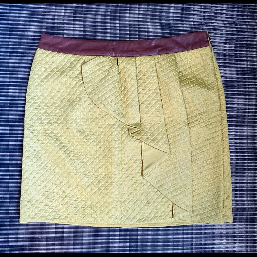 *NWT* Anthropologie brocade skirt (size 10)